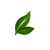 ChatGPT-Image)